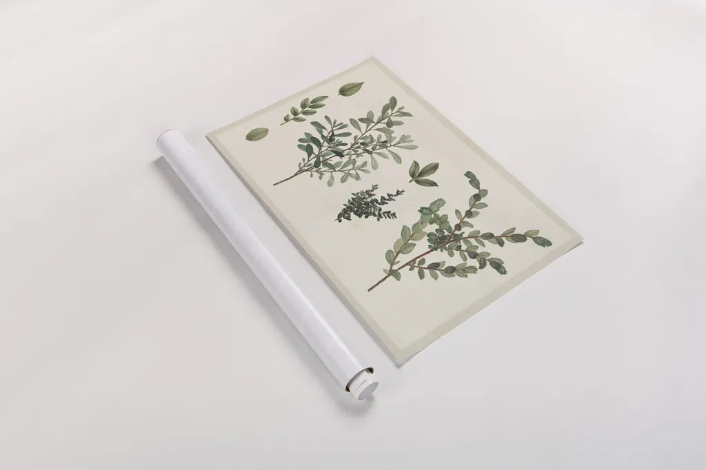 Victorian Garden Chart I by Wild Apple Portfolio. shown as a rolled paper print. Available as archival giclee rolled canvas, fine art paper, or poster print. SKU 69181i.