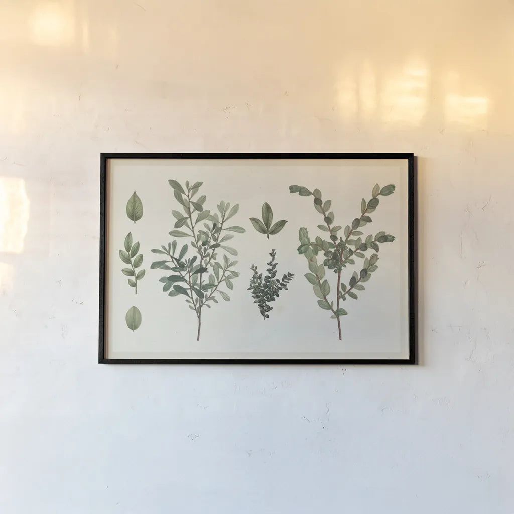 Victorian Garden Chart I by Wild Apple Portfolio. shown as a paper print in a black flame. Available as a archival giclee rolled canvas, fine art paper, or poster print. SKU 69181i.