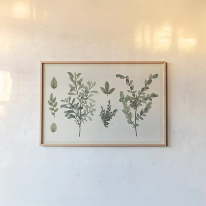 Victorian Garden Chart I by Wild Apple Portfolio. shown as a paper print in a natural frame. Available as a archival giclee rolled canvas, fine art paper, or poster print. SKU 69181i.