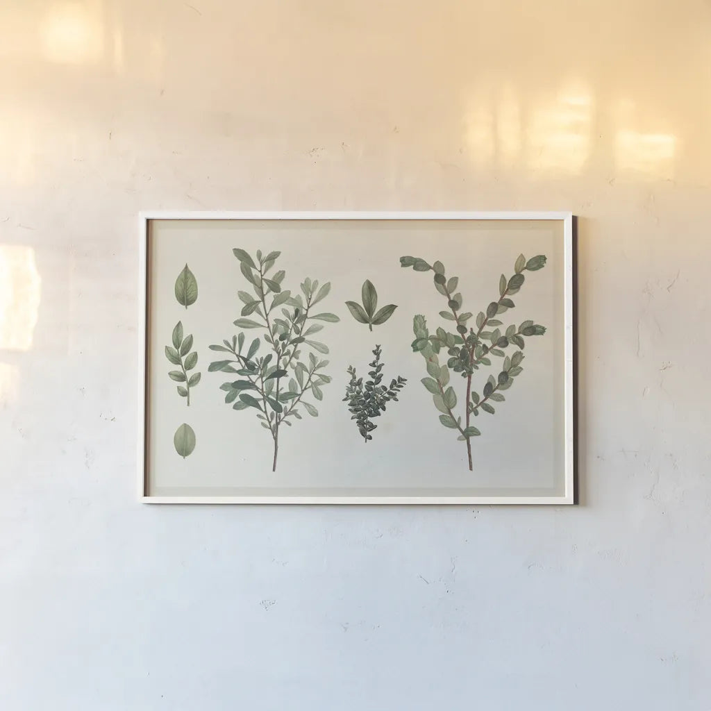 Victorian Garden Chart I by Wild Apple Portfolio. shown as a paper print in a white frame. Available as a archival giclee rolled canvas, fine art paper, or poster print. SKU 69181i.