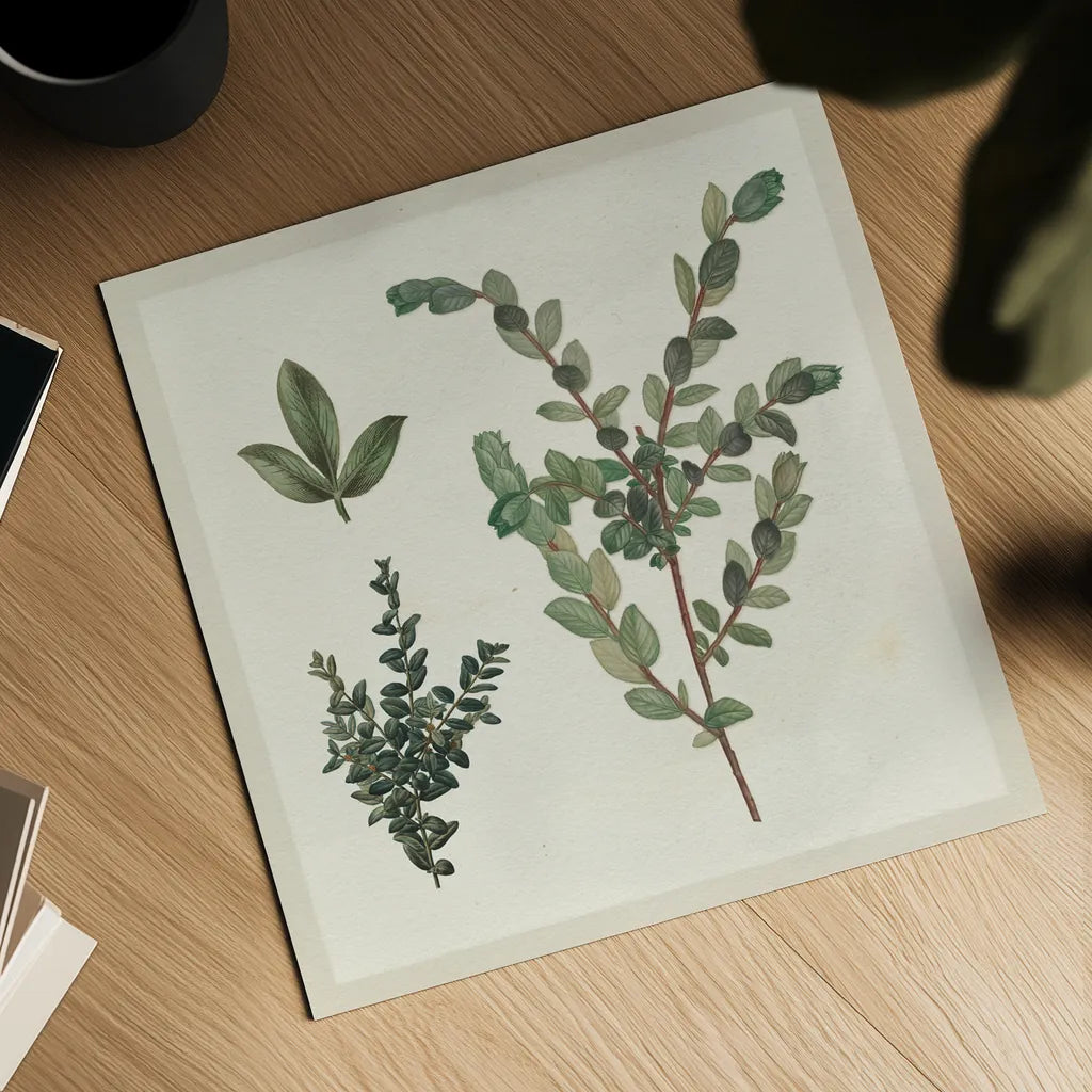 Victorian Garden Chart II by Wild Apple Portfolio. Shown as a detailed flat fine art print, highlighting archival giclee quality. Available as an archival giclee rolled canvas, fine art paper, or poster print. SKU 69182a.