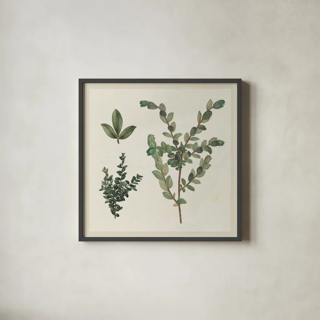 Victorian Garden Chart II by Wild Apple Portfolio. Shown in a sleek black glass frame for a contemporary gallery look. Available as an archival giclee rolled canvas, fine art paper, or poster print. SKU 69182a.