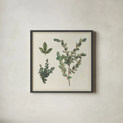 Victorian Garden Chart II by Wild Apple Portfolio. Shown in a sleek black glass frame for a contemporary gallery look. Available as an archival giclee rolled canvas, fine art paper, or poster print. SKU 69182a.
