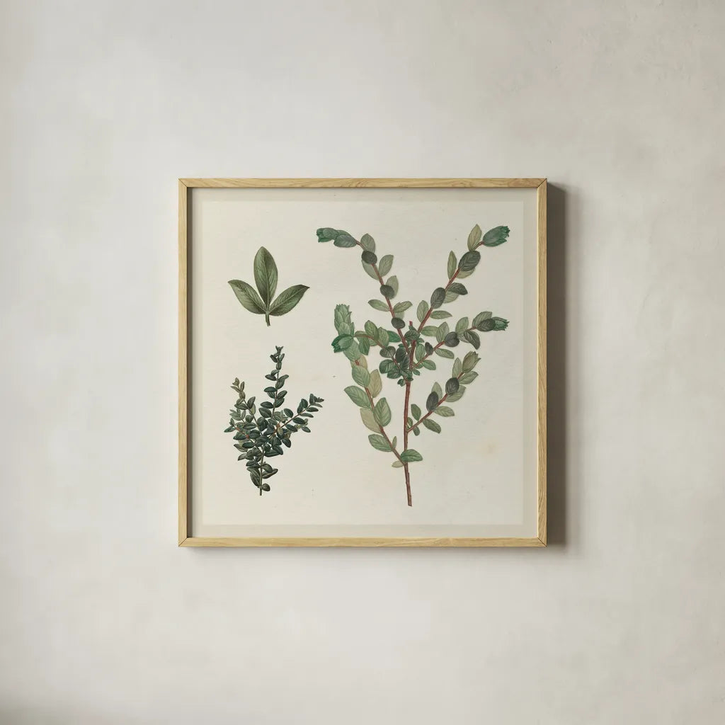 Victorian Garden Chart II by Wild Apple Portfolio. Shown in a natural wood glass frame for a timeless modern aesthetic. Available as an archival giclee rolled canvas, fine art paper, or poster print. SKU 69182a.