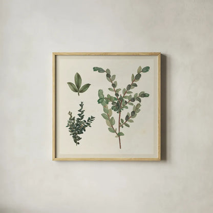 Victorian Garden Chart II by Wild Apple Portfolio. Shown in a natural wood glass frame for a timeless modern aesthetic. Available as an archival giclee rolled canvas, fine art paper, or poster print. SKU 69182a.