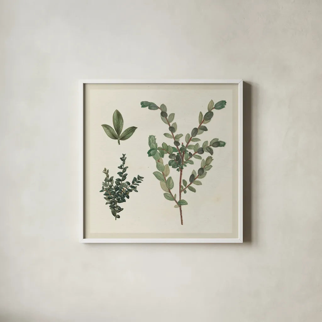Victorian Garden Chart II by Wild Apple Portfolio. Shown in a crisp white glass frame for a clean and minimalist style. Available as an archival giclee rolled canvas, fine art paper, or poster print. SKU 69182a.