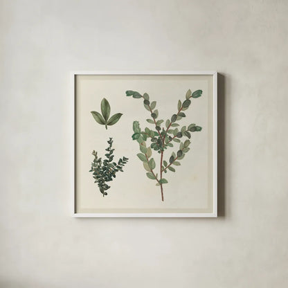 Victorian Garden Chart II by Wild Apple Portfolio. Shown in a crisp white glass frame for a clean and minimalist style. Available as an archival giclee rolled canvas, fine art paper, or poster print. SKU 69182a.