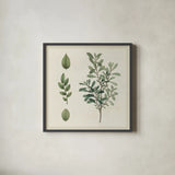Victorian Garden Chart III by Wild Apple Portfolio. Shown in a sleek black glass frame for a contemporary gallery look. Available as an archival giclee rolled canvas, fine art paper, or poster print. SKU 69183a.