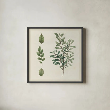Victorian Garden Chart III by Wild Apple Portfolio. Shown in a sleek black glass frame for a contemporary gallery look. Available as an archival giclee rolled canvas, fine art paper, or poster print. SKU 69183a.