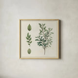 Victorian Garden Chart III by Wild Apple Portfolio. Shown in a natural wood glass frame for a timeless modern aesthetic. Available as an archival giclee rolled canvas, fine art paper, or poster print. SKU 69183a.