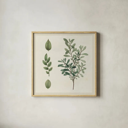 Victorian Garden Chart III by Wild Apple Portfolio. Shown in a natural wood glass frame for a timeless modern aesthetic. Available as an archival giclee rolled canvas, fine art paper, or poster print. SKU 69183a.