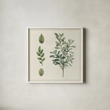 Victorian Garden Chart III by Wild Apple Portfolio. Shown in a crisp white glass frame for a clean and minimalist style. Available as an archival giclee rolled canvas, fine art paper, or poster print. SKU 69183a.