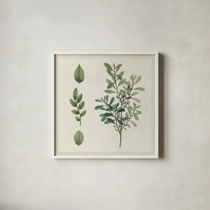 Victorian Garden Chart III by Wild Apple Portfolio. Shown in a crisp white glass frame for a clean and minimalist style. Available as an archival giclee rolled canvas, fine art paper, or poster print. SKU 69183a.
