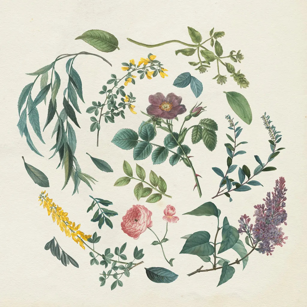 Victorian Garden I by Wild Apple Portfolio. SKU 46805a. Archival Giclee Fine art print for wall decor.