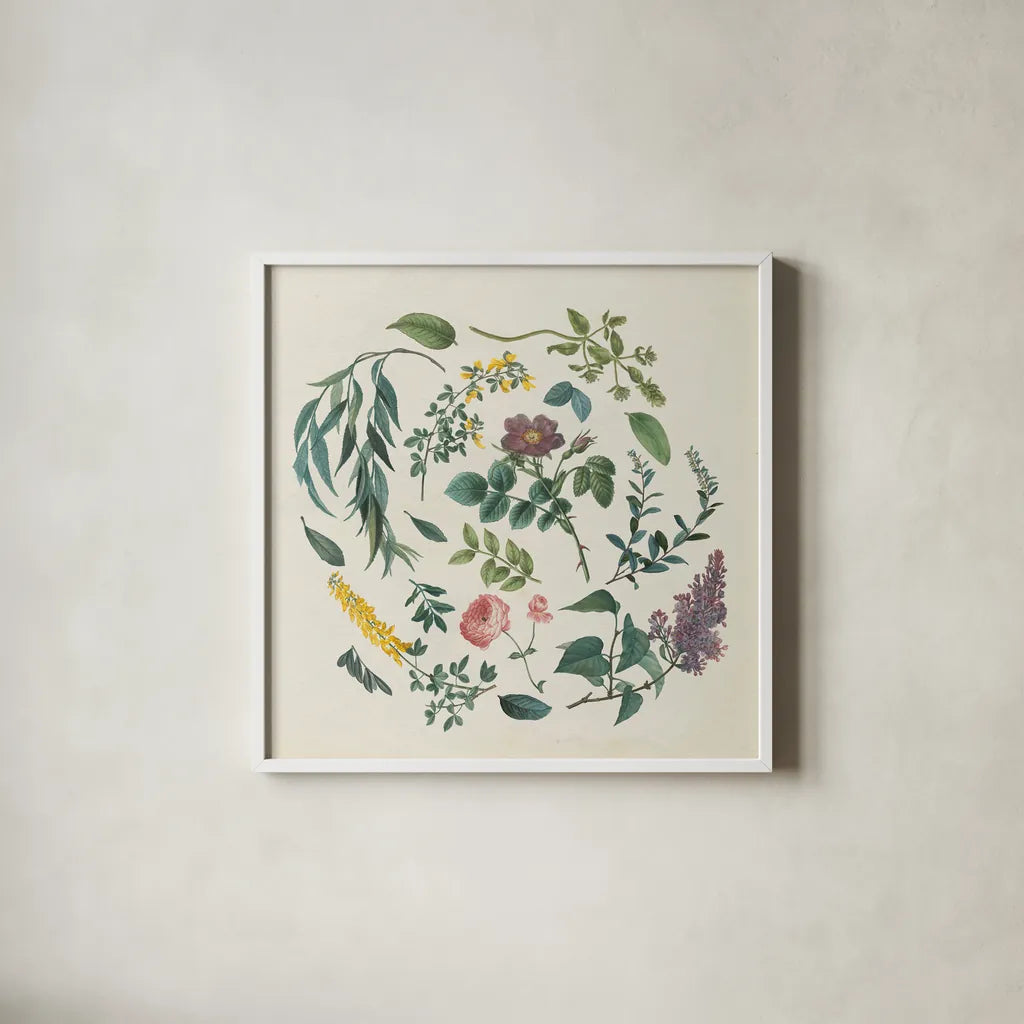 Victorian Garden I by Wild Apple Portfolio. Shown in a crisp white glass frame for a clean and minimalist style. Available as an archival giclee rolled canvas, fine art paper, or poster print. SKU 46805a.