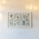 Victorian Garden III by Wild Apple Portfolio. shown as a paper print in a white frame. Available as a archival giclee rolled canvas, fine art paper, or poster print. SKU 46807i.
