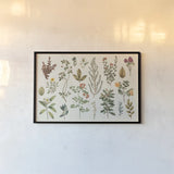 Victorian Garden III Autumn by Wild Apple Portfolio. shown as a paper print in a black flame. Available as a archival giclee rolled canvas, fine art paper, or poster print. SKU 70570i.