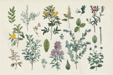 Victorian Garden IV by Wild Apple Portfolio. SKU 46808i. Archival Giclee Fine art print for wall decor.