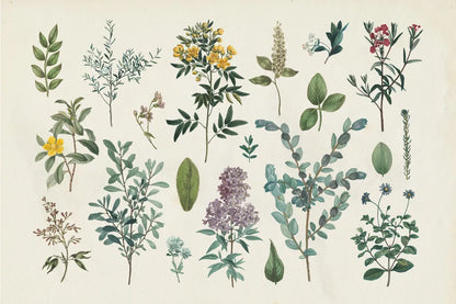 Victorian Garden IV by Wild Apple Portfolio. SKU 46808i. Archival Giclee Fine art print for wall decor.