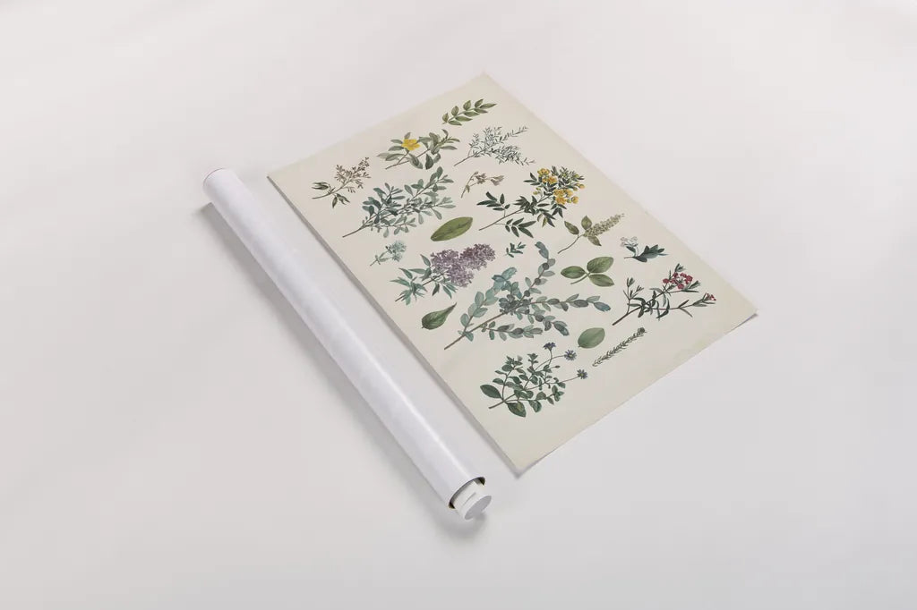 Victorian Garden IV by Wild Apple Portfolio. shown as a rolled paper print. Available as archival giclee rolled canvas, fine art paper, or poster print. SKU 46808i.
