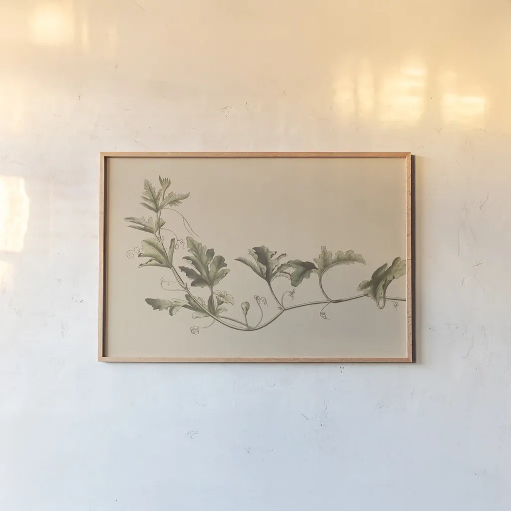 Vine of Sodom by Wild Apple Portfolio. shown as a paper print in a natural frame. Available as a archival giclee rolled canvas, fine art paper, or poster print. SKU 86789i.