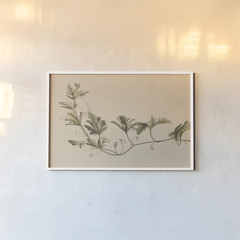 Vine of Sodom by Wild Apple Portfolio. shown as a paper print in a white frame. Available as a archival giclee rolled canvas, fine art paper, or poster print. SKU 86789i.