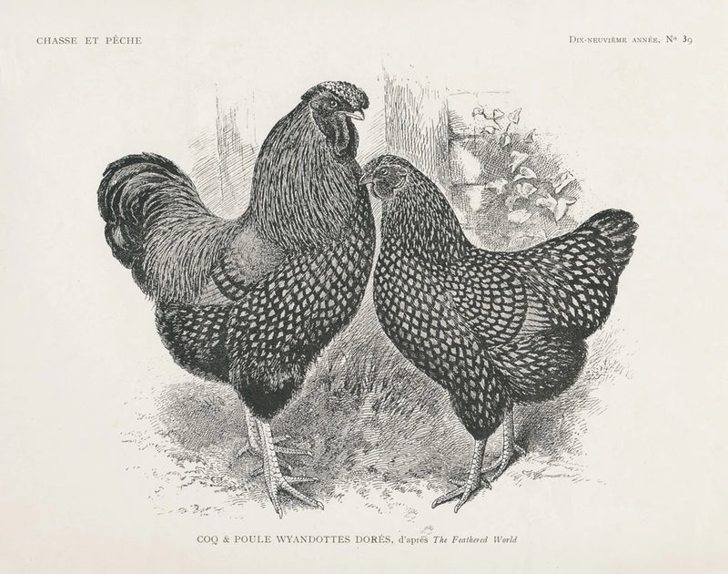 Vintage Farm Life I by Wild Apple Portfolio