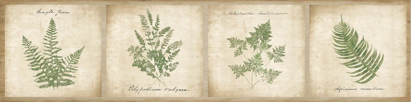 Vintage Ferns - 4 Image Panel by Wild Apple Portfolio
