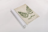 Vintage Ferns VII no Border Crop by Wild Apple Portfolio. shown as a rolled paper print. Available as archival giclee rolled canvas, fine art paper, or poster print. SKU 16522h.