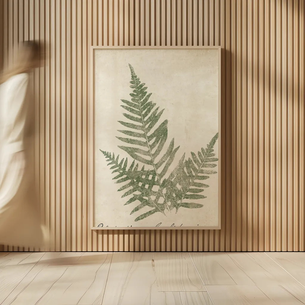 Vintage Ferns XI no Border Crop by Wild Apple Portfolio. shown as over sized large wall art. Available as an archival giclee rolled canvas, fine art paper, or poster print. SKU 18753h.