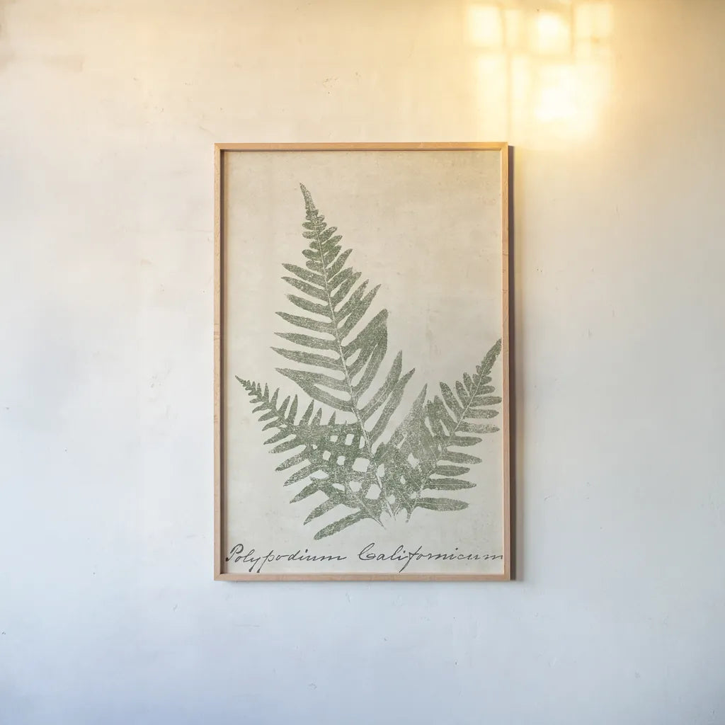 Vintage Ferns XI no Border Crop by Wild Apple Portfolio. shown as a paper print in a natural frame. Available as a archival giclee rolled canvas, fine art paper, or poster print. SKU 18753h.