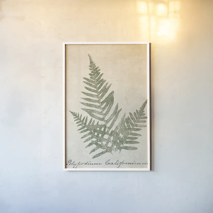 Vintage Ferns XI no Border Crop by Wild Apple Portfolio. shown as a paper print in a white frame. Available as a archival giclee rolled canvas, fine art paper, or poster print. SKU 18753h.
