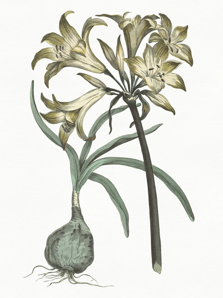 Vintage Floral I Cool by Wild Apple Portfolio