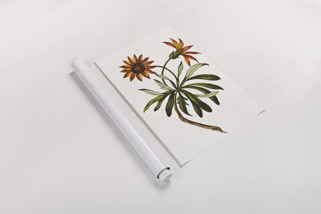 Vintage Floral II White by Wild Apple Portfolio. shown as a rolled paper print. Available as archival giclee rolled canvas, fine art paper, or poster print. SKU 25353h.