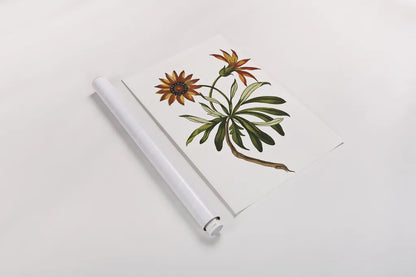 Vintage Floral II White by Wild Apple Portfolio. shown as a rolled paper print. Available as archival giclee rolled canvas, fine art paper, or poster print. SKU 25353h.