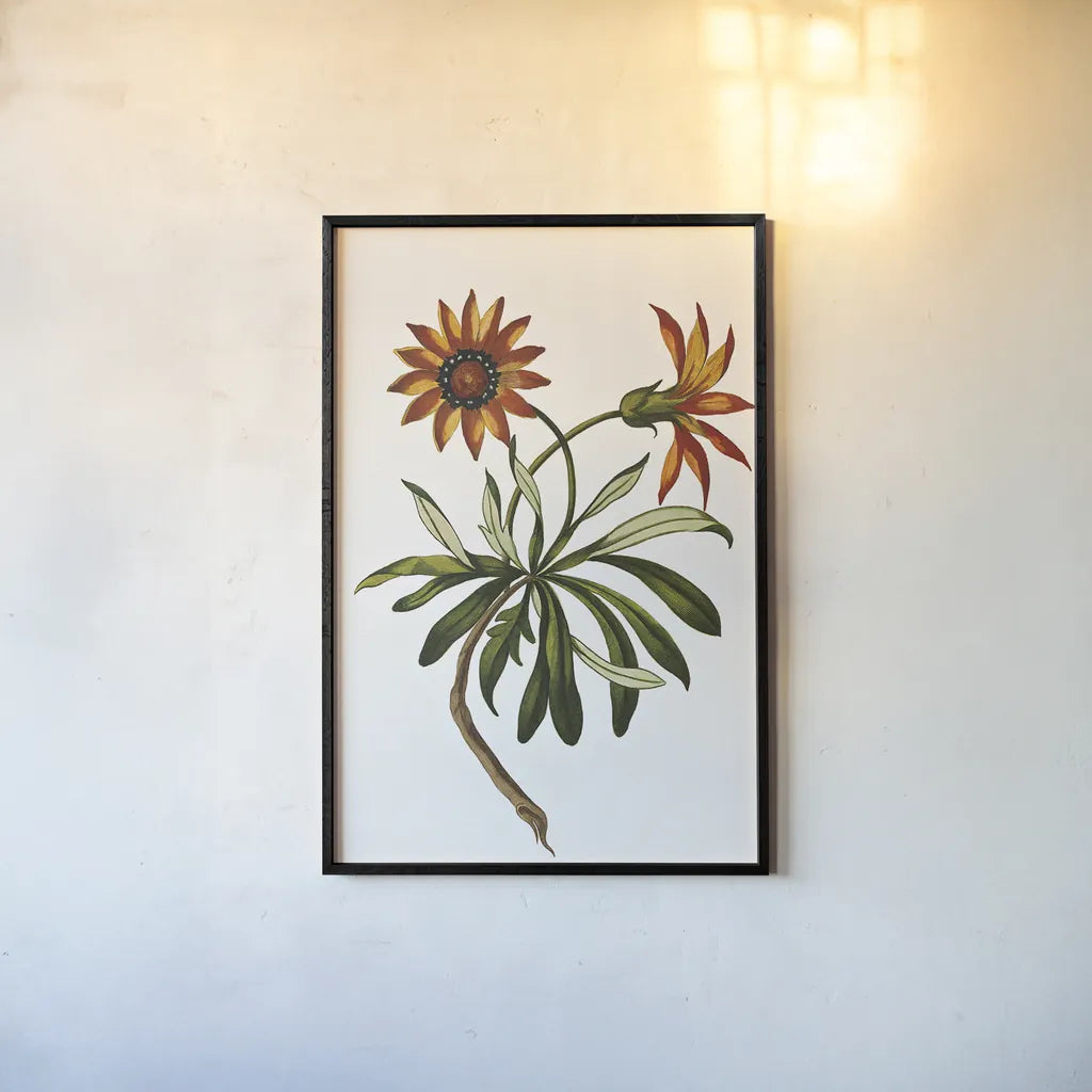 Vintage Floral II White by Wild Apple Portfolio. shown as a paper print in a black flame. Available as a archival giclee rolled canvas, fine art paper, or poster print. SKU 25353h.