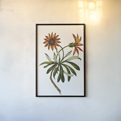 Vintage Floral II White by Wild Apple Portfolio. shown as a paper print in a black flame. Available as a archival giclee rolled canvas, fine art paper, or poster print. SKU 25353h.