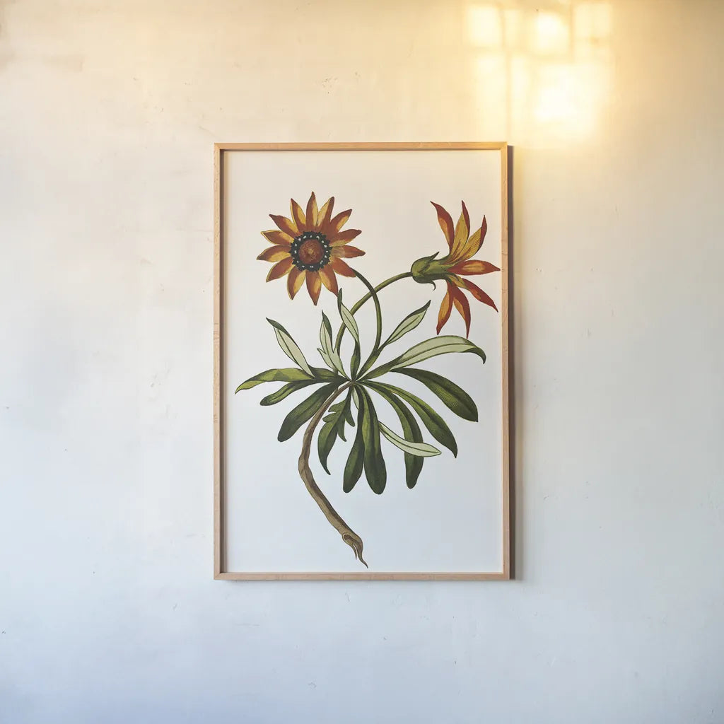 Vintage Floral II White by Wild Apple Portfolio. shown as a paper print in a natural frame. Available as a archival giclee rolled canvas, fine art paper, or poster print. SKU 25353h.