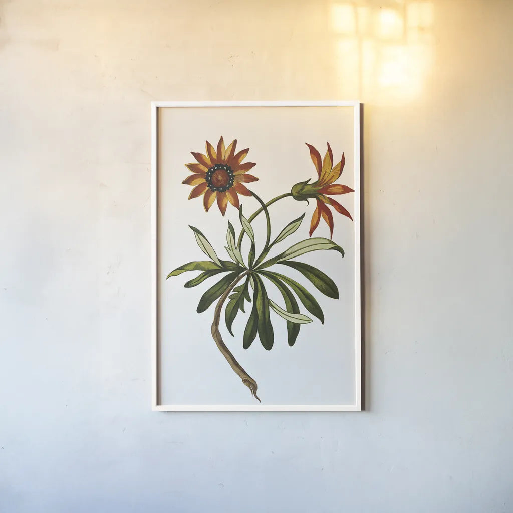 Vintage Floral II White by Wild Apple Portfolio. shown as a paper print in a white frame. Available as a archival giclee rolled canvas, fine art paper, or poster print. SKU 25353h.