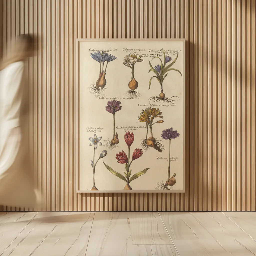 Vintage Florilegium I by Wild Apple Portfolio. shown as over sized large wall art. Available as an archival giclee rolled canvas, fine art paper, or poster print. SKU 45407h.