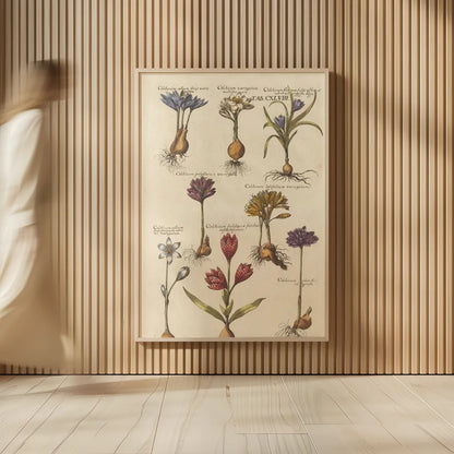 Vintage Florilegium I by Wild Apple Portfolio. shown as over sized large wall art. Available as an archival giclee rolled canvas, fine art paper, or poster print. SKU 45407h.