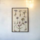 Vintage Florilegium I by Wild Apple Portfolio. shown as a paper print in a black flame. Available as a archival giclee rolled canvas, fine art paper, or poster print. SKU 45407h.
