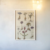 Vintage Florilegium I by Wild Apple Portfolio. shown as a paper print in a white frame. Available as a archival giclee rolled canvas, fine art paper, or poster print. SKU 45407h.