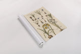 Vintage Florilegium II by Wild Apple Portfolio. shown as a rolled paper print. Available as archival giclee rolled canvas, fine art paper, or poster print. SKU 45408h.