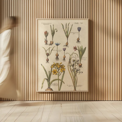 Vintage Florilegium II by Wild Apple Portfolio. shown as over sized large wall art. Available as an archival giclee rolled canvas, fine art paper, or poster print. SKU 45408h.