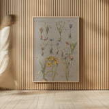 Vintage Florilegium II Gray by Wild Apple Portfolio. shown as over sized large wall art. Available as an archival giclee rolled canvas, fine art paper, or poster print. SKU 63086h.