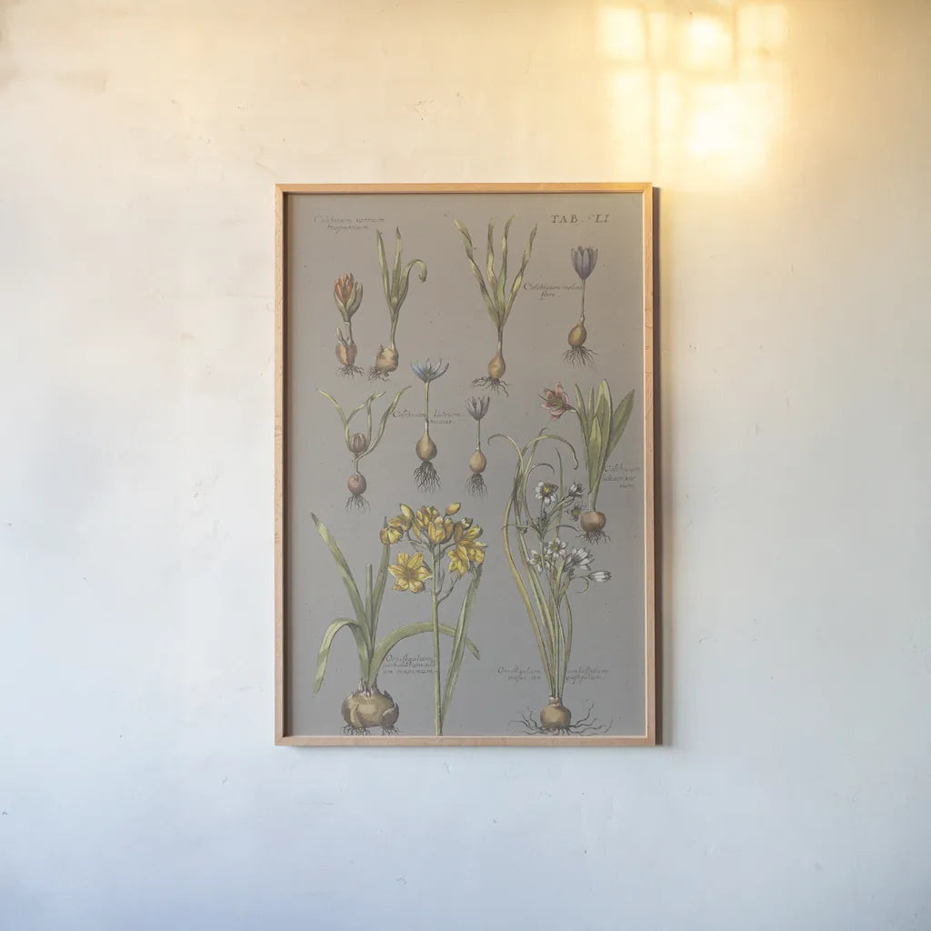 Vintage Florilegium II Gray by Wild Apple Portfolio. shown as a paper print in a natural frame. Available as a archival giclee rolled canvas, fine art paper, or poster print. SKU 63086h.