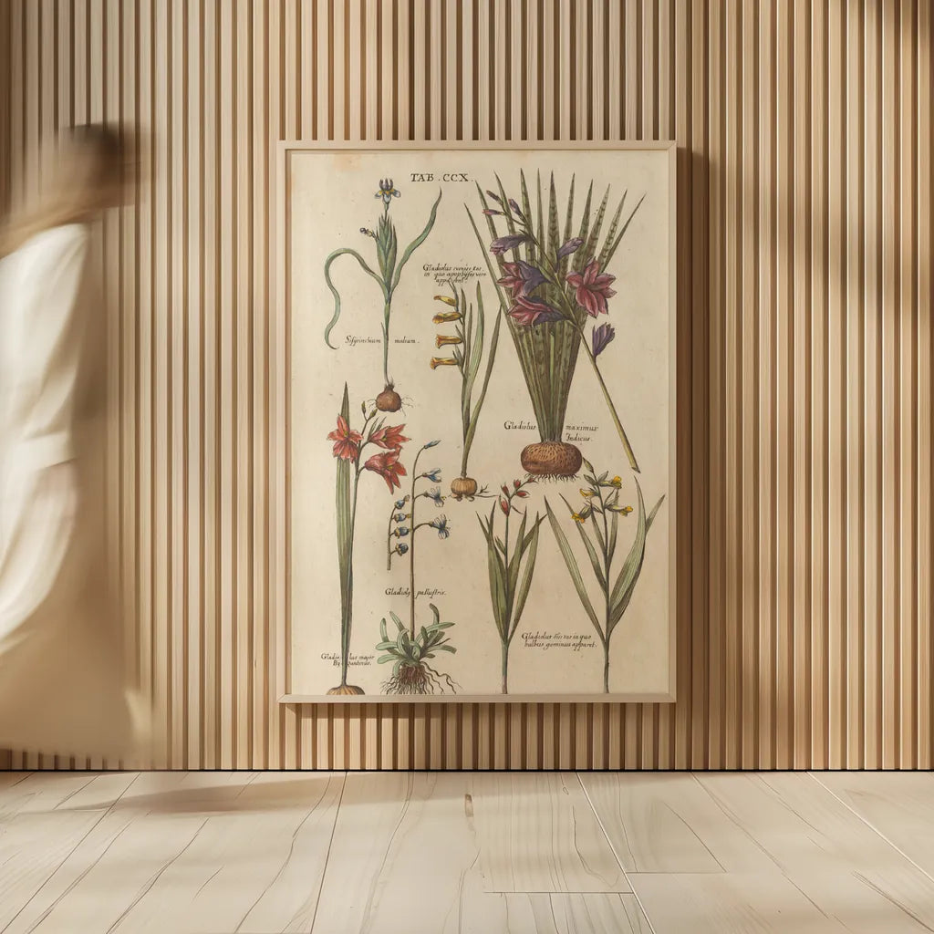 Vintage Florilegium III by Wild Apple Portfolio. shown as over sized large wall art. Available as an archival giclee rolled canvas, fine art paper, or poster print. SKU 45409h.