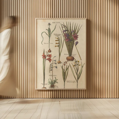 Vintage Florilegium III by Wild Apple Portfolio. shown as over sized large wall art. Available as an archival giclee rolled canvas, fine art paper, or poster print. SKU 45409h.