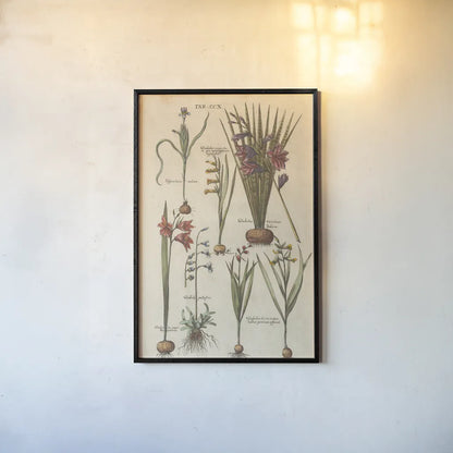Vintage Florilegium III by Wild Apple Portfolio. shown as a paper print in a black flame. Available as a archival giclee rolled canvas, fine art paper, or poster print. SKU 45409h.